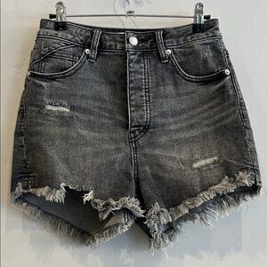 Free People We The Free CRVY Raw Hem Button Fly Denim Shorts